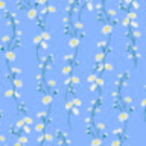 Meet your Posher, Alexa